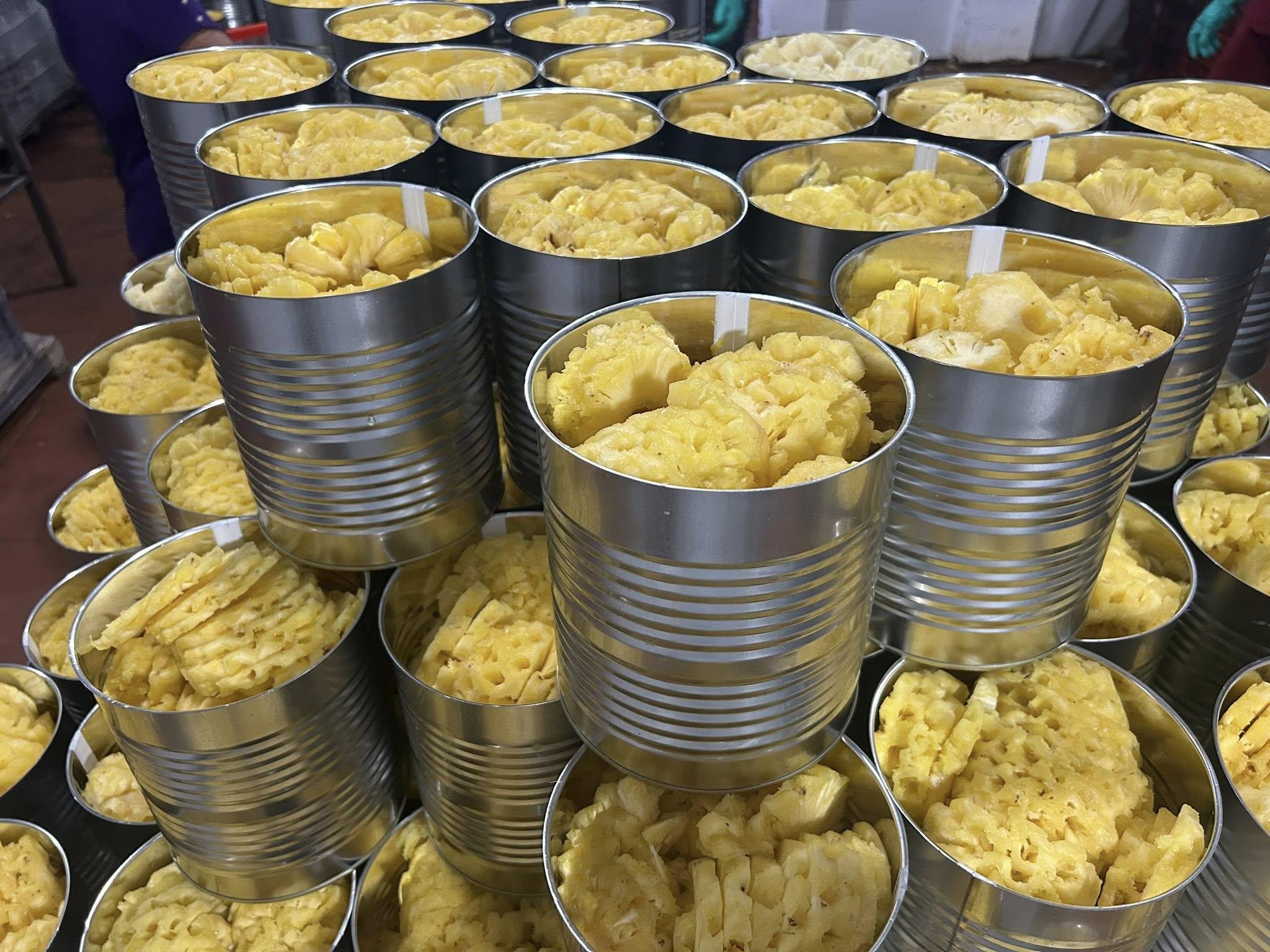 Canned Pineapple by PLD Vietnam