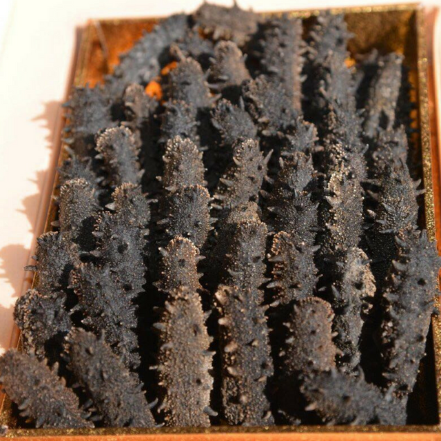 Dried Sea Cucumber / Clean Teat fish 99% Clean No Impurities for Seafood Wholesalers Bulk Supply  Export Quality