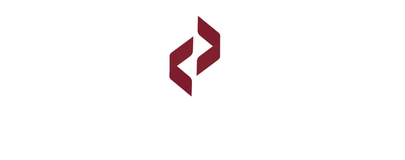 Why Attend Connected Africa? B2B Intro