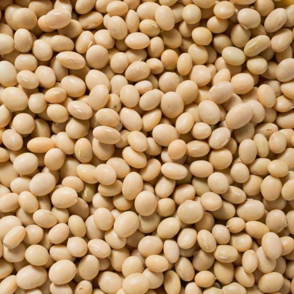 Get to Know the Top 4 Soybean Suppliers in Brazil - 4
