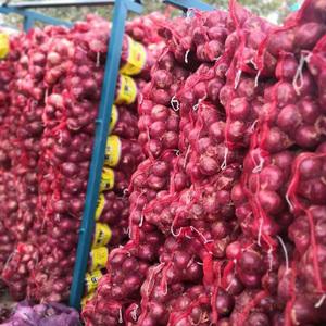 Red onion