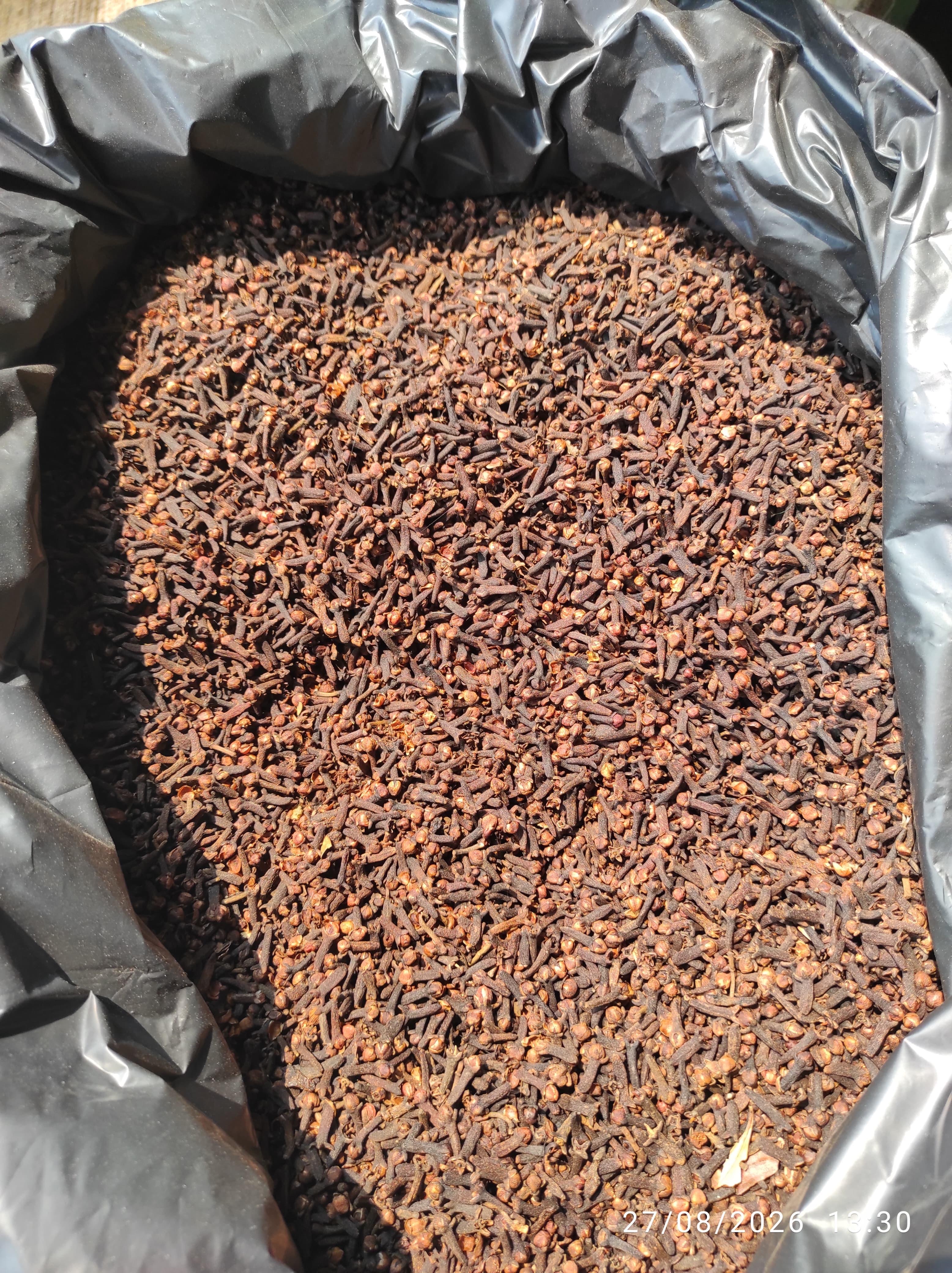 Cloves AB6 LAL PARI