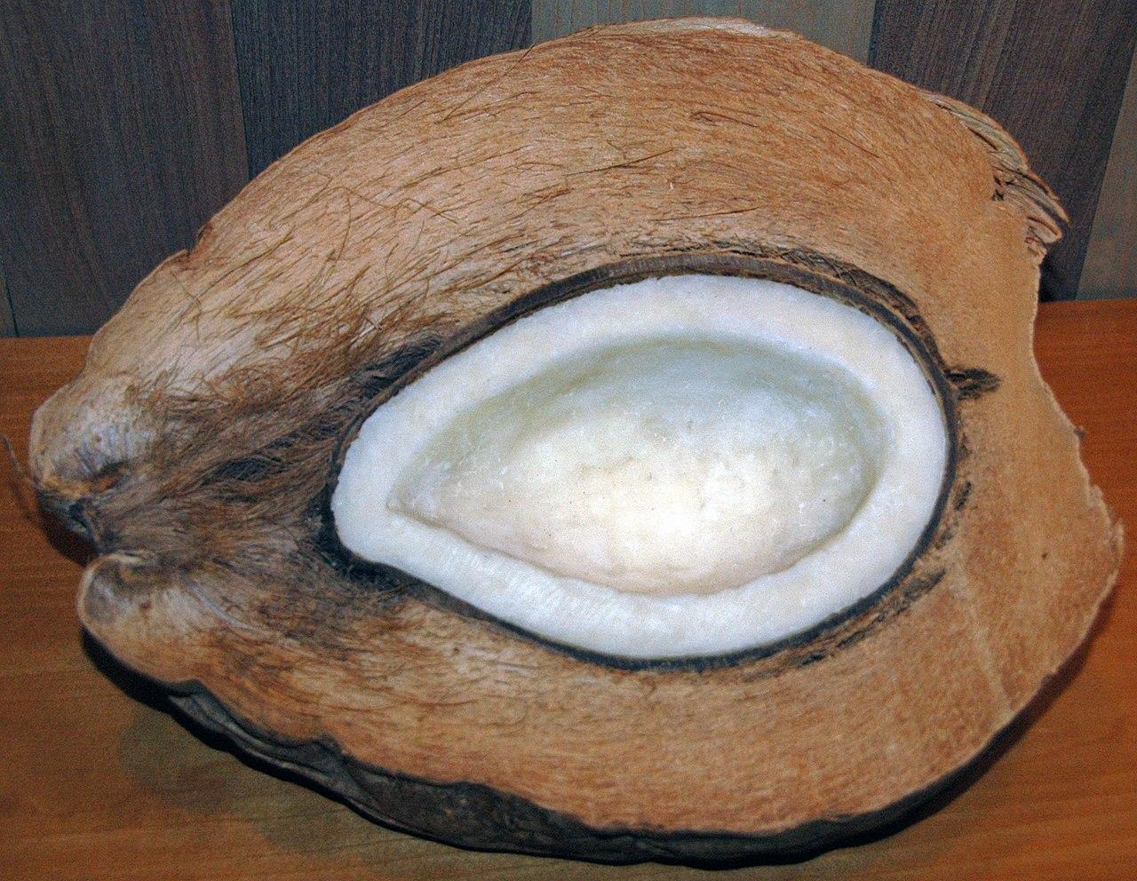 Dry Coconut Shell Uses