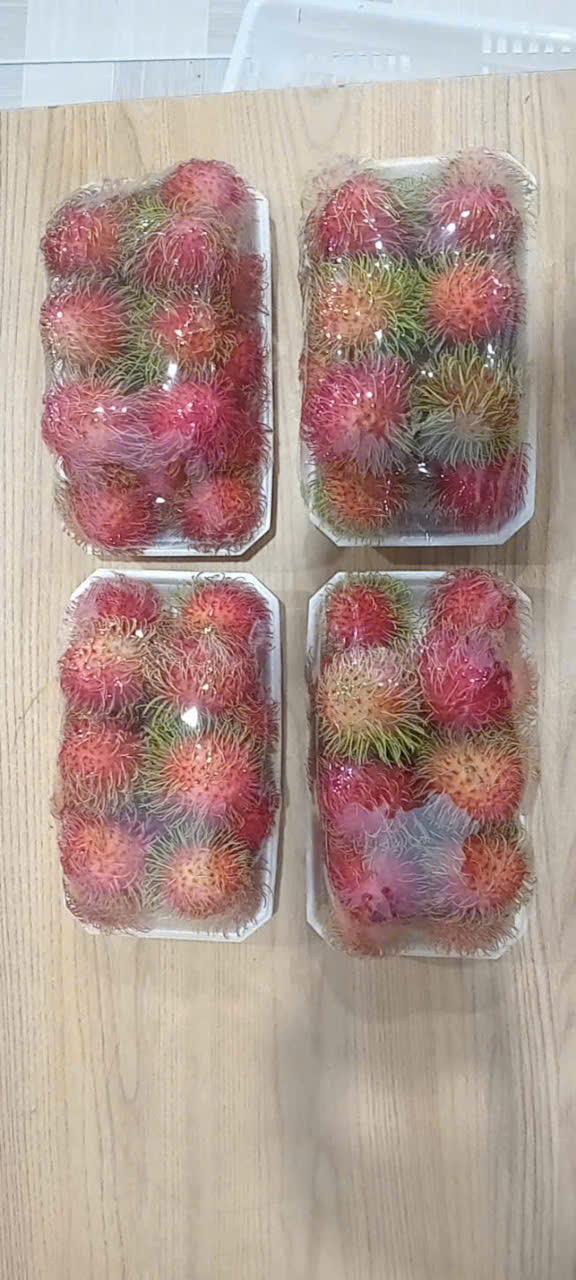 Harvested Rambutan
