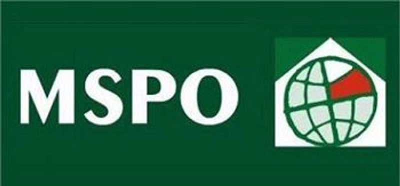 Inside MSPO Expo: B2B Key Insights