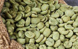 Ethiopian Guji Coffee Beans