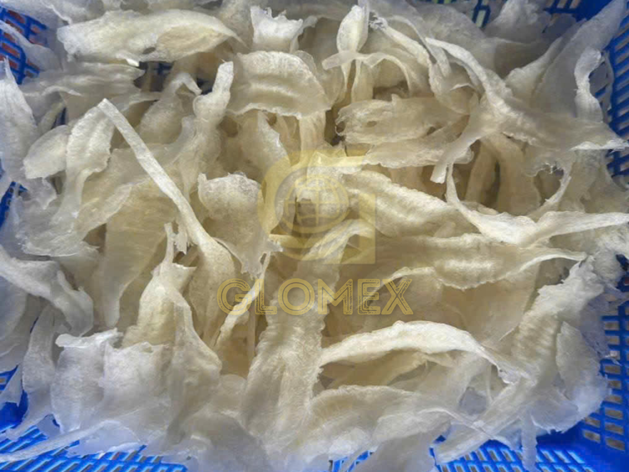 Premium Dried Fish Maw - Ready to export for Chinese cuisine