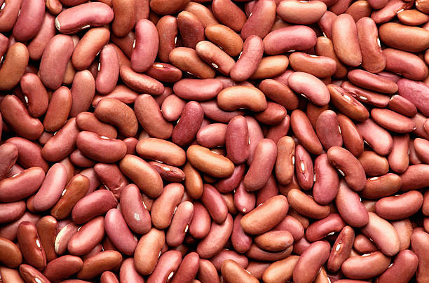 Top 5 Bean Suppliers in Germany in Year 2025: A Fresh Look at a Rapidly Evolving Market