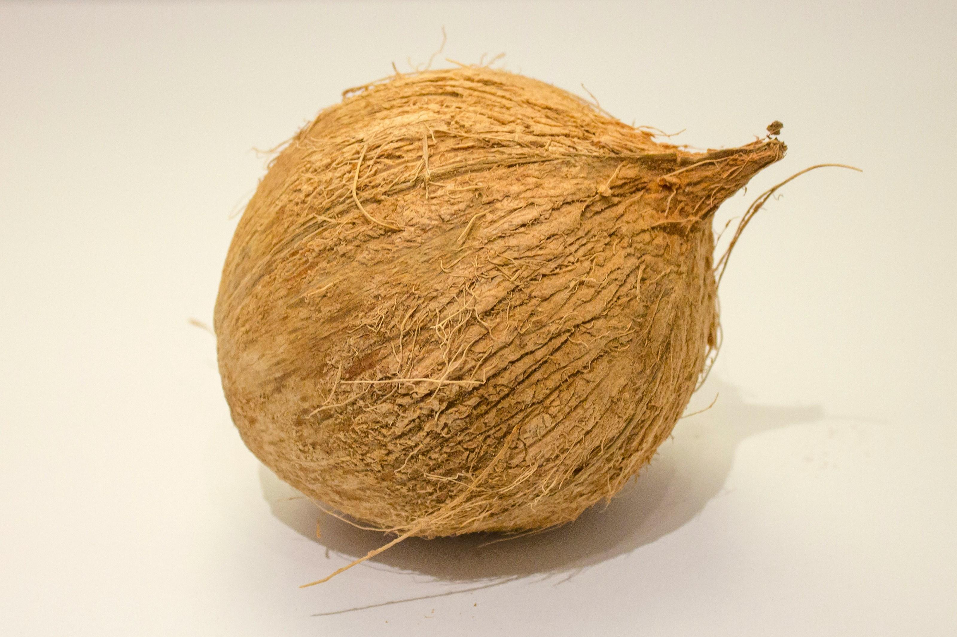 Semi Husk Coconut Image 3