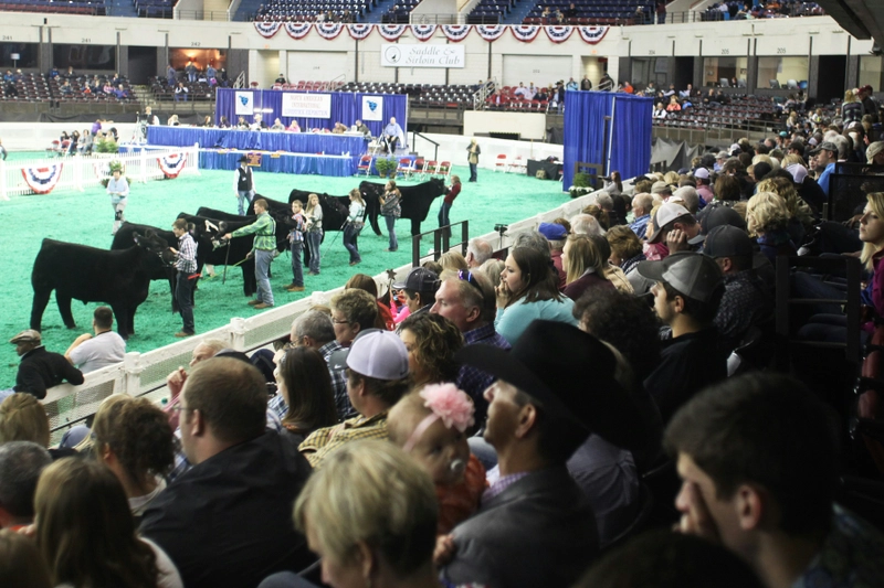 North American International Livestock Exposition Spotlight: B2B Essentials - 1