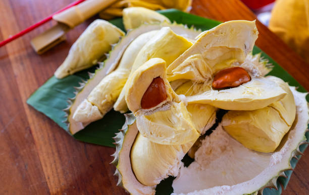 Top 6 Durian Suppliers in India in Week 12 of 2025: Market Outlook and Strategic Insights
