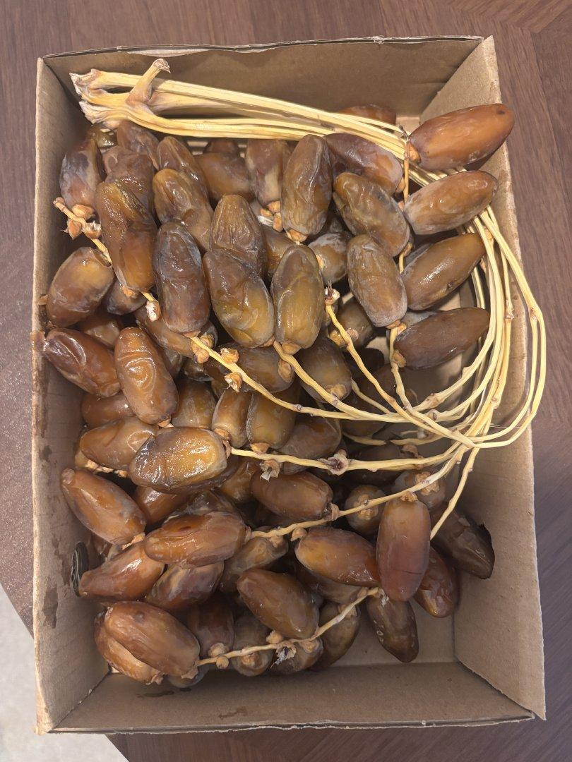 fresh dates deglet nour Available formats:  500g carton 1 kg carton 2 kg carton  Packaging: Premium gift box  retail 