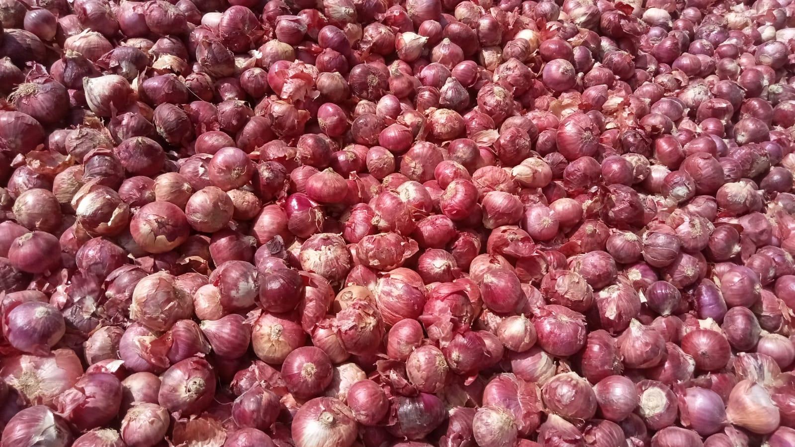 Quality fresh onion and potatoes – product photo, product description