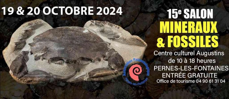 Discover SALON MINÉRAUX, FOSSILES ET MÉTÉORITES: B2B Event Guide