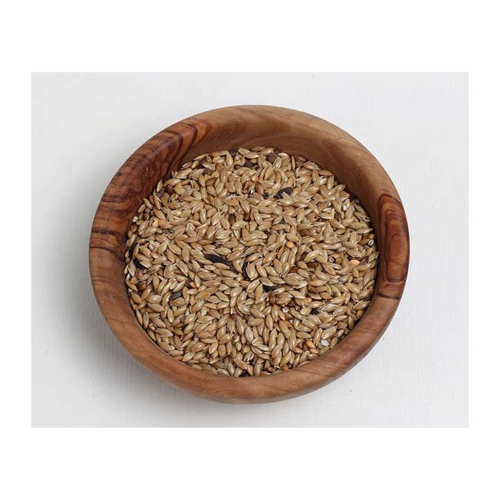 Premium Wholesale Canary Seed for Bird Food – High Purity, Natural, Clean, Nutrient-Rich Canary Seeds for Wild Birds, Pet Birds, Feed Manufacturing, Bulk Supply, Export Quality, Competitive Prices, Custom Packaging, Reliable Global Delivery for Retailers, Distributors, and Agricultural Buyers Worldwide