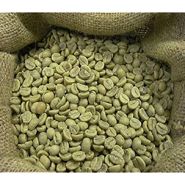 Discover the top 6 Green Coffee suppliers in South Africa - 3