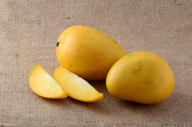 Your Expert Guide to Procuring Top-Tier Mango: Top 5 Mango Suppliers in Spain in Quarter 4 of 2025