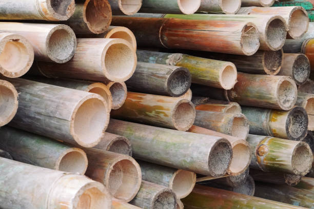 Your Expert Guide to Procuring Top-Tier Bamboo Products: Top 4 Bamboo Products Suppliers in Netherlands in Year 2025