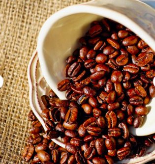 Export High Quality Maragogipe coffee beans, Excelsa Coffee Beans, Kopi luwak Coffee beans ( civet coffee beans) for sale