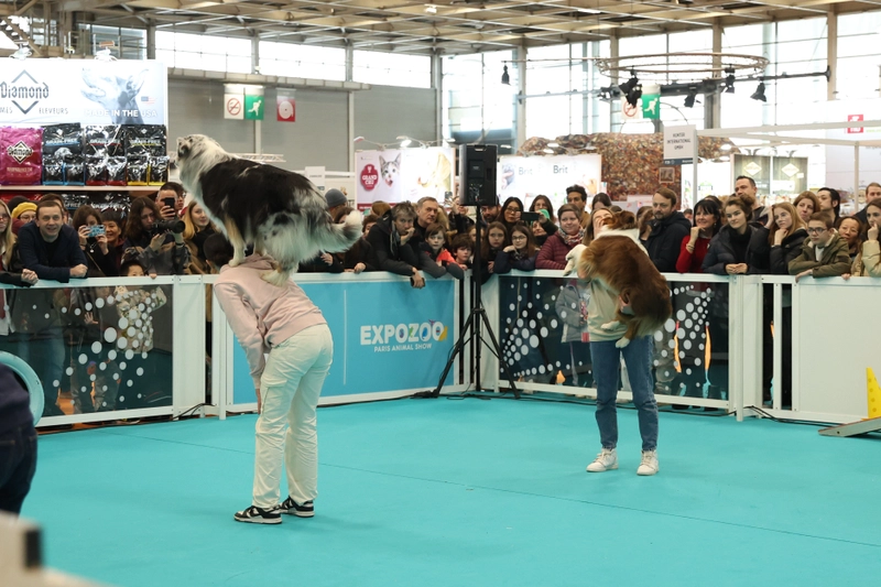 Inside Expozoo Paris Animal Show: B2B Key Insights - 1