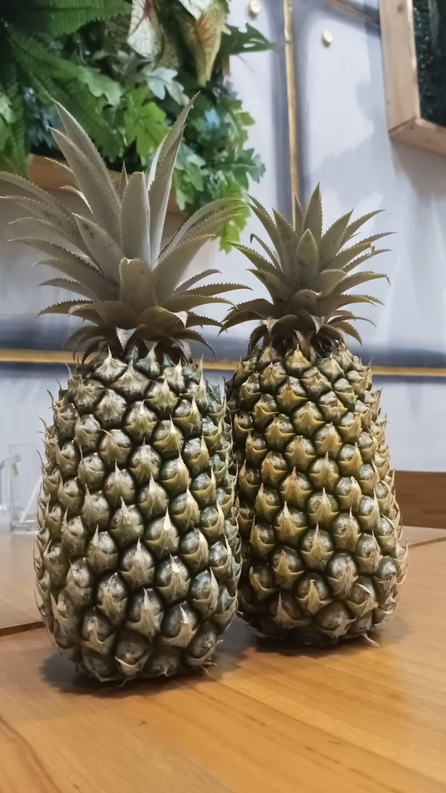 Pineapple Field Indonesia