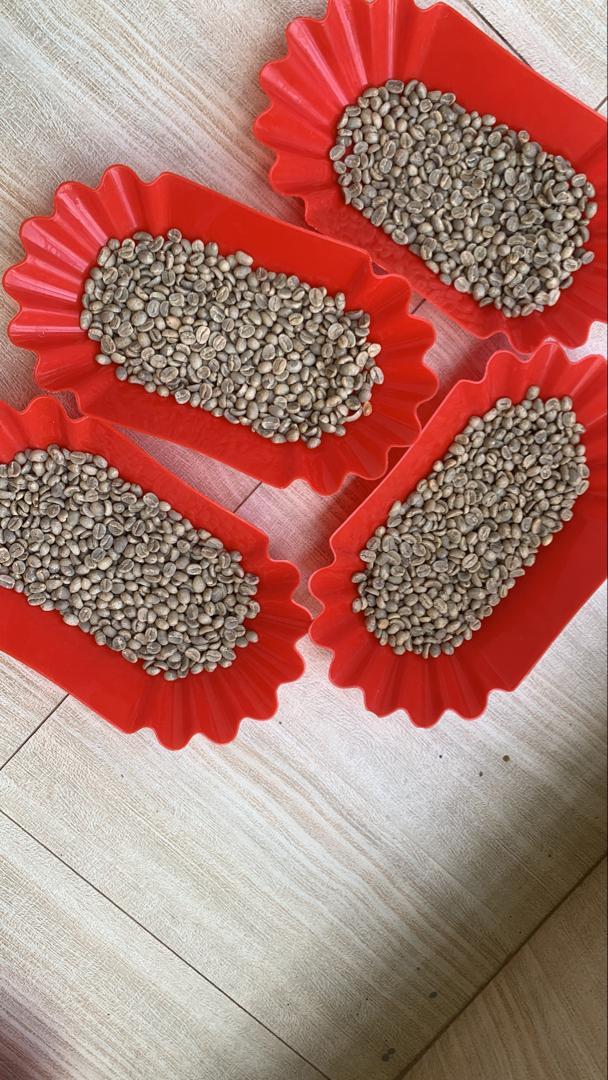 Green Coffee Beans