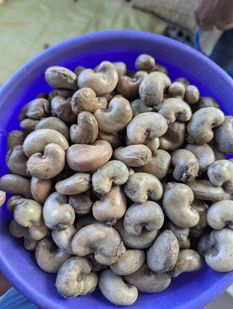 Organic Raw Cashew Nuts