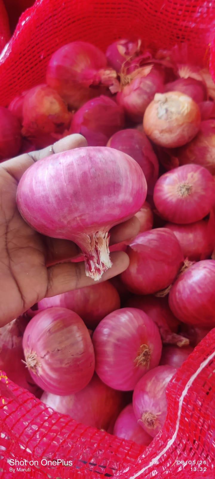 Fresh Onion