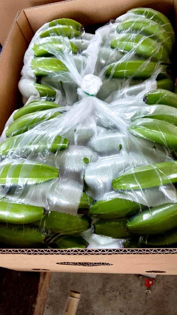 Banana Export Packaging