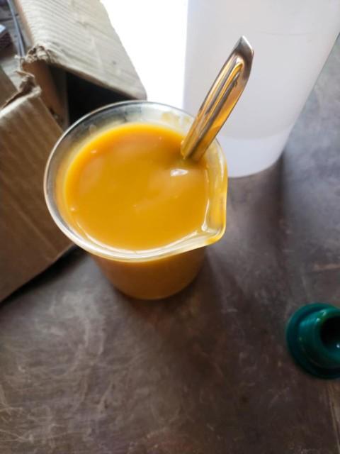 Totapuri Mango Image 2