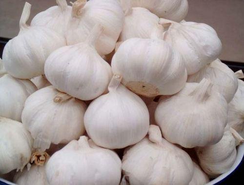 ORGANIC FRESH GARLIC Grade AA Type FRESH Shape ROUND Shelf Life 6 MONTHS Packaging 25KG BAGS Stem Length 1-1.5cm Max. Moisture (%) 12