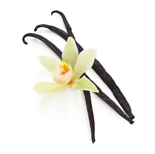 Top 8 Vanilla Suppliers in United Kingdom in Year 2025