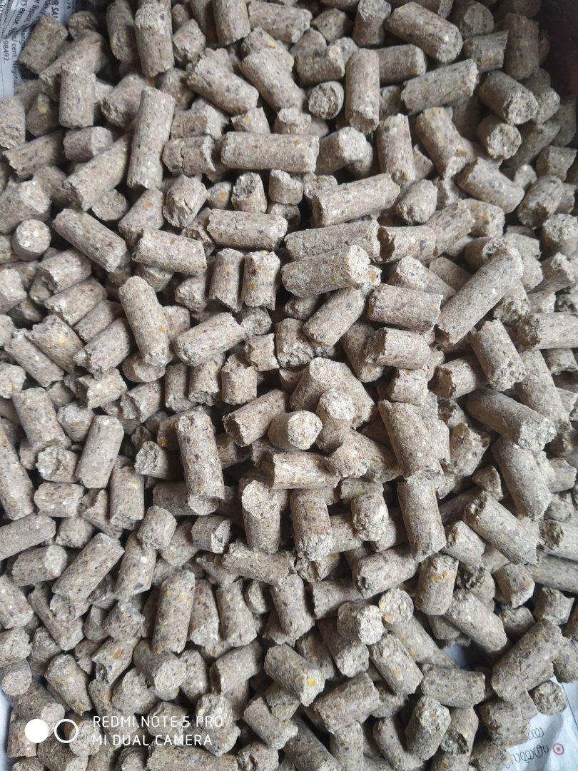 Cattle Feed Image
