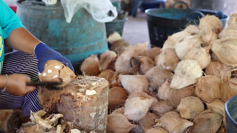 A Comprehensive Guide to Sourcing High-Quality Coconut: Top 7 Coconut Suppliers in Pakistan in Quarter 3 of 2025