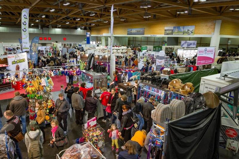 TIERWELT Revealed: B2B Opportunity - 1