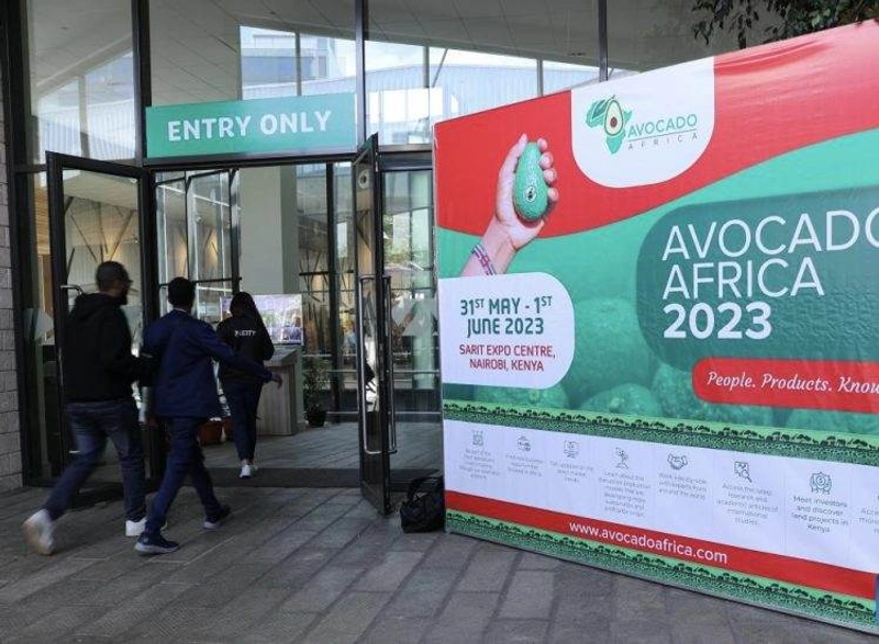 Discover International Africa Avocado Congress : B2B Event Guide - 1