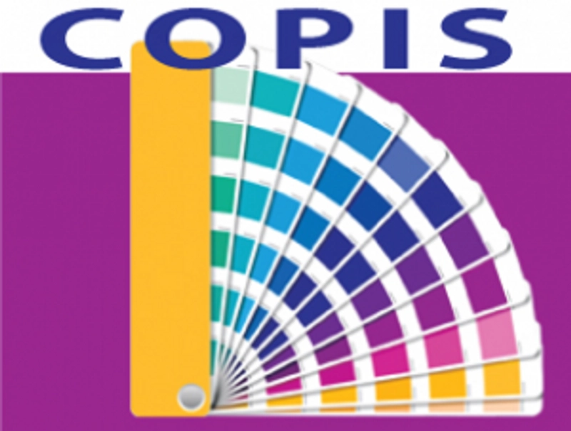 Inside COPI'S: B2B Key Insights