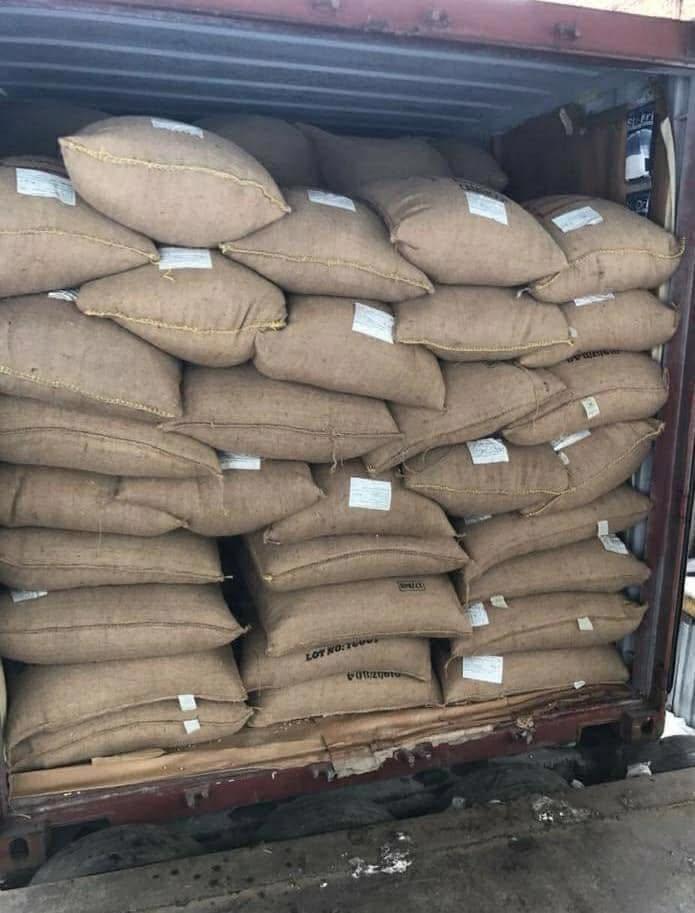 coffee beans, High-quality Roasted Robusta and Arabica Espresso Coffee Beans Wholesale Coffee Powder and Coffee Bean Sup
