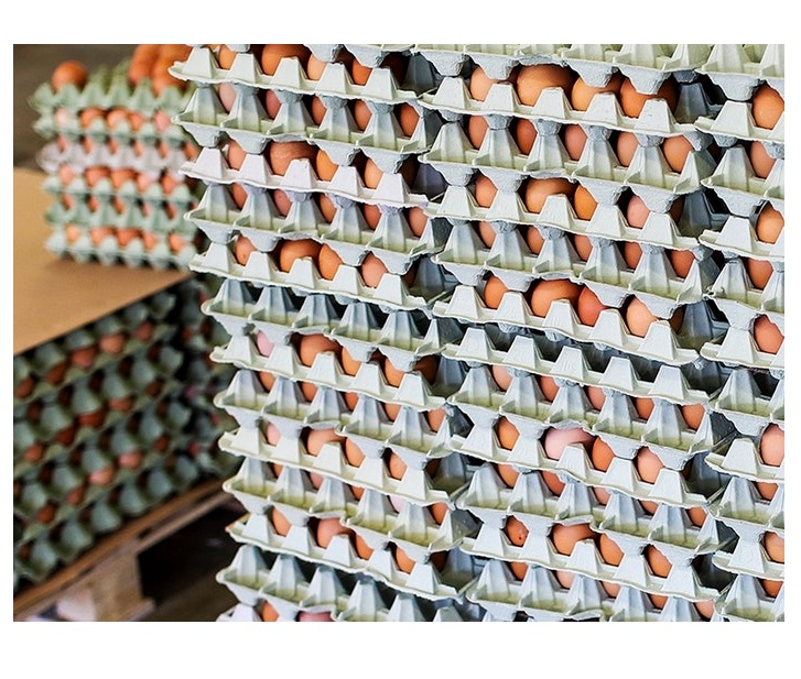 Fresh White and Brown Farm Chicken Eggs from GERMANY