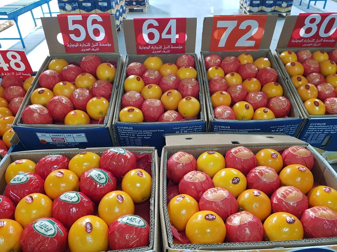 Fresh Oranges, NFC Juice & Frozen Strawberry Organic Yes Grade 1,1.5,2 Fruit Type Orange Degree Of Maturity Mature Degree of Processing Other