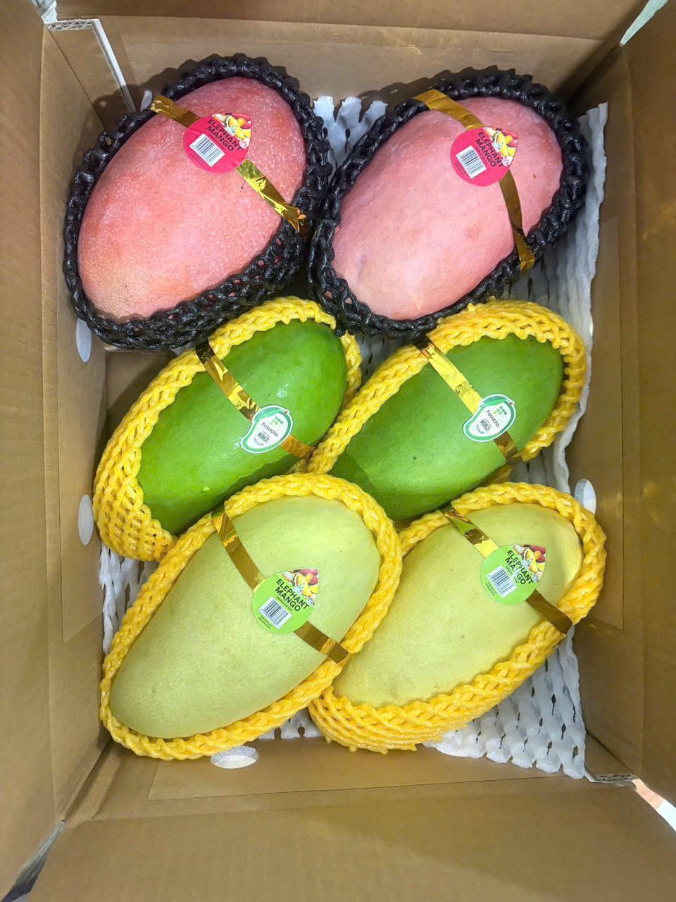 Elephant Mango Grade A Form Fresh Origin Asia Features Vegan Shelf Life 70 days Weight (kg) 600gram/piece Product Type Vegetarian & Vegan Products