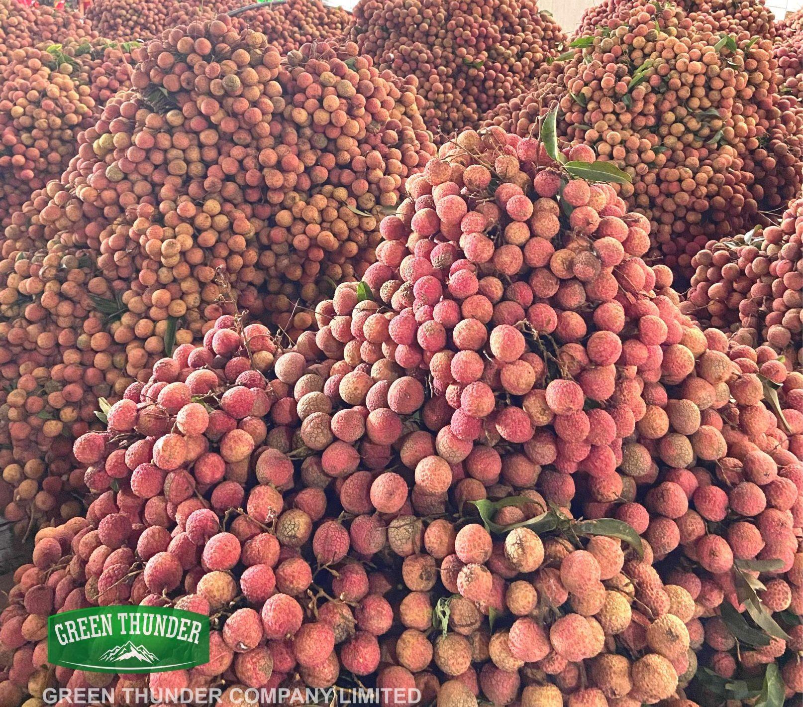 Vietnam Lychee Fields