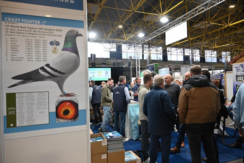 Why Attend International Pigeon Racing Fair (FUGARE)? B2B Intro - 2