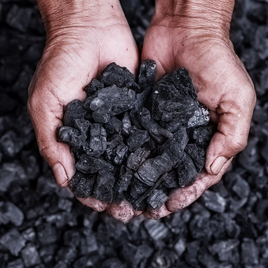 Product Charcoal