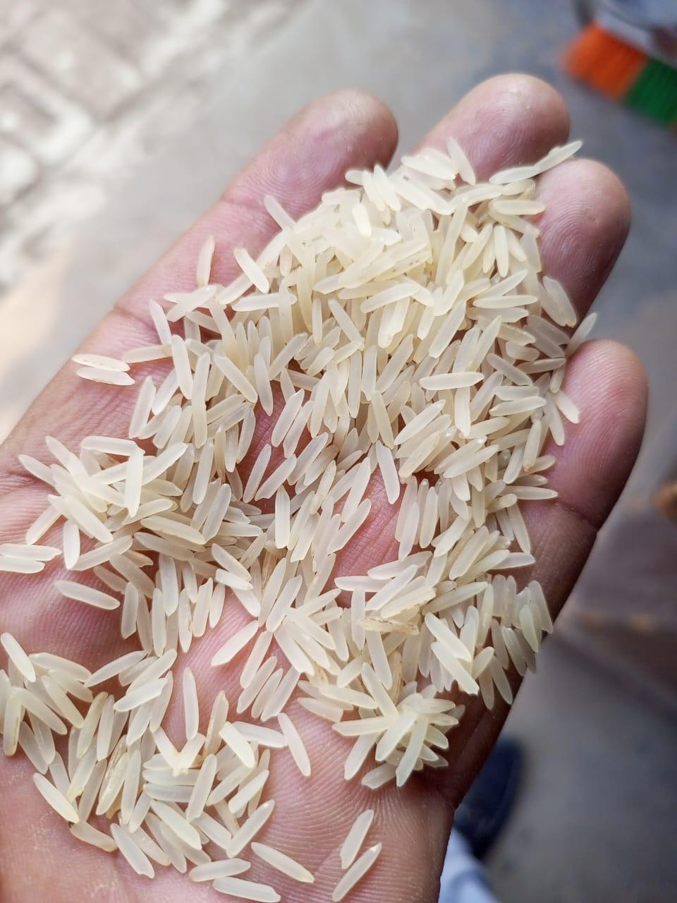 Basmati kainat 1121 sella Grade Grade A Texture Creamy Grain Type Basmati Pesticide Status Pesticide Free Registration Status Rex