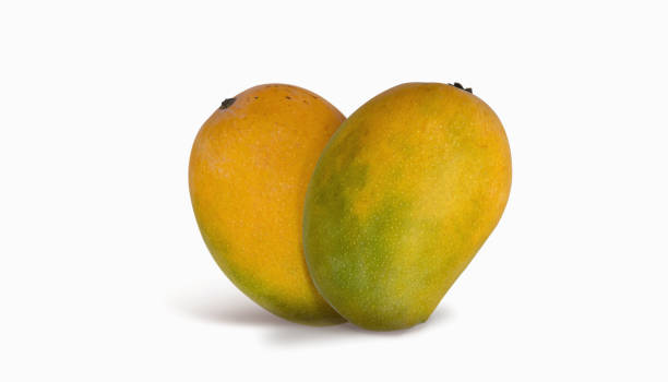 Top 5 Mango Suppliers in China in Week 14 of 2025: Market Trends, Trade Dynamics & Strategic Insights