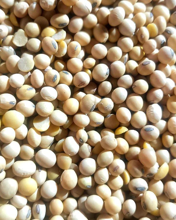 Get to Know the Top 4 Soybean Suppliers in Brazil - 1