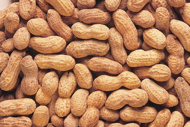 Top 3 Peanuts Suppliers in Thailand in May 2025: Market Insights & Strategic Guide