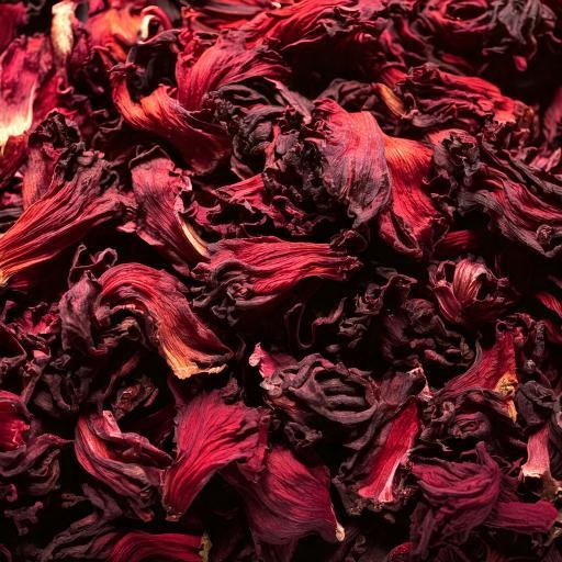 Solgrain Hibiscus Flower