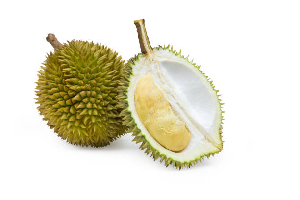 Top 10 Durian Suppliers in Brazil in Week 02 of 2025